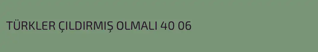 TÜRKLER ÇILDIRMIŞ OLMALI 40 06